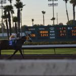 NightAtRaces ()